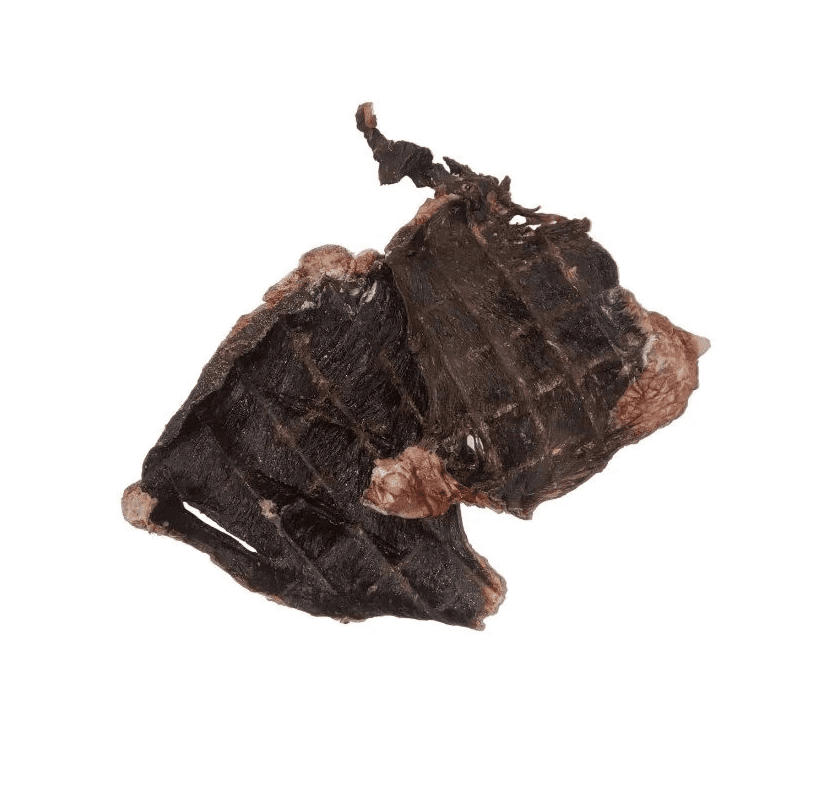 Dried beef jerky pieces