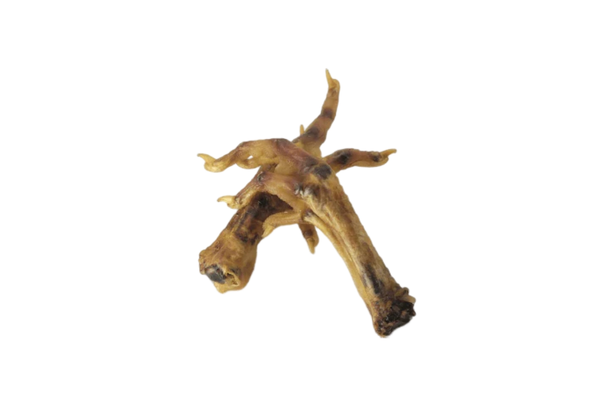 Dried chicken feet on white background