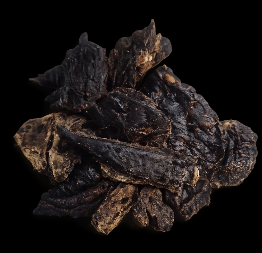 Dried black mushrooms on black background
