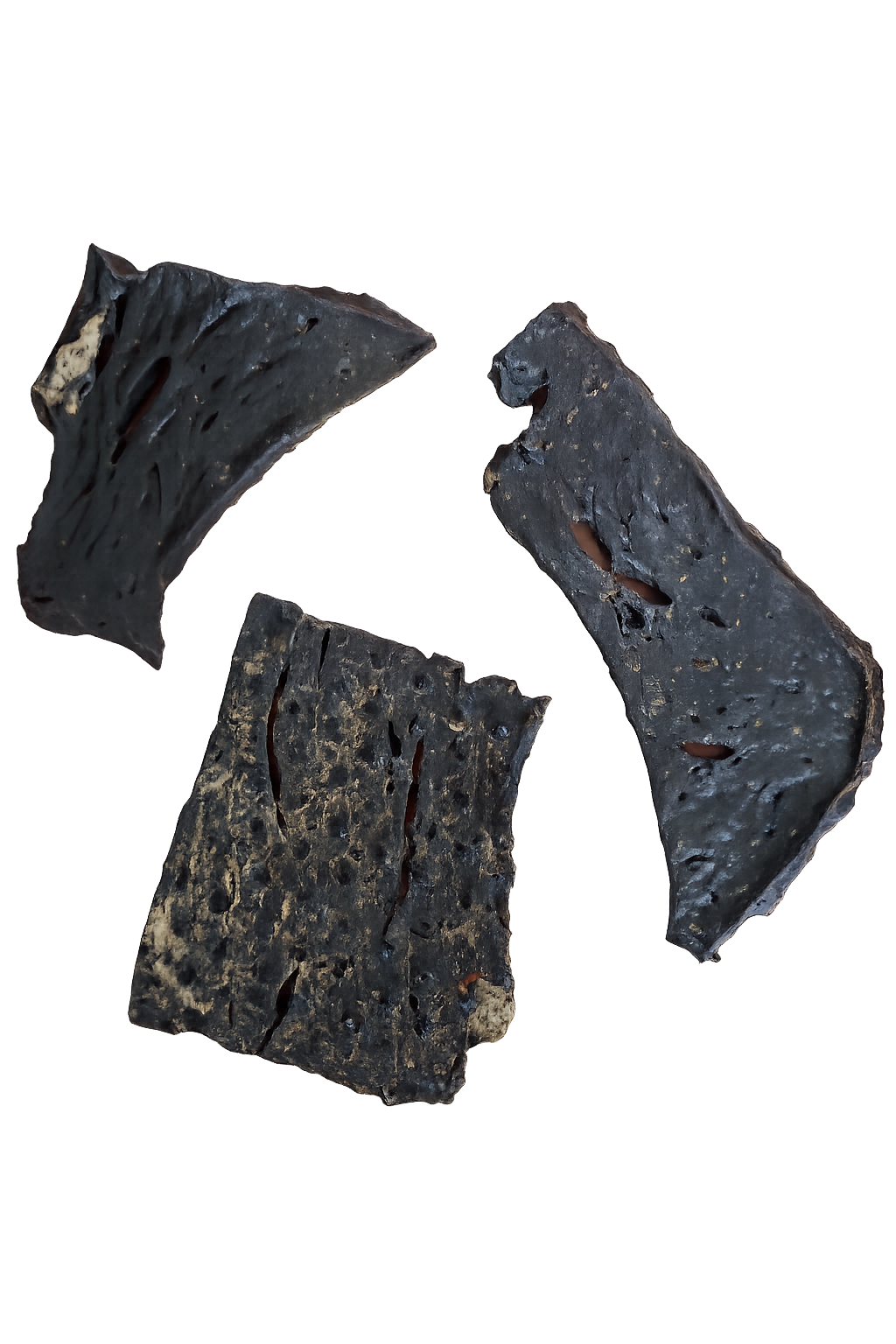 Three pieces of charred bark