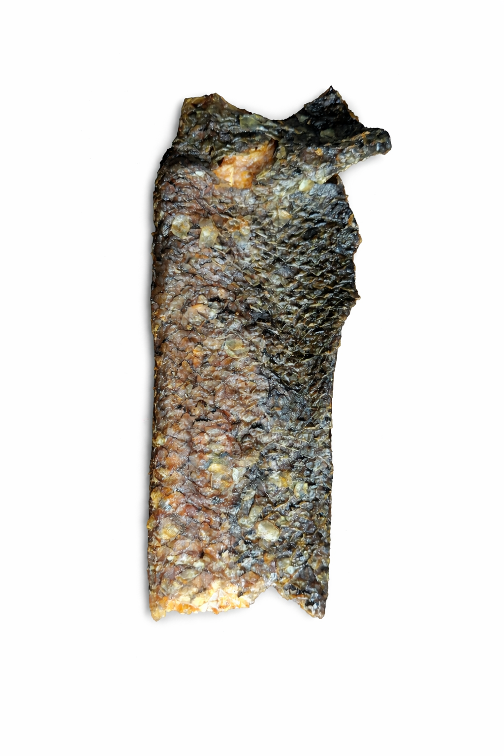 Dried fish skin with scales